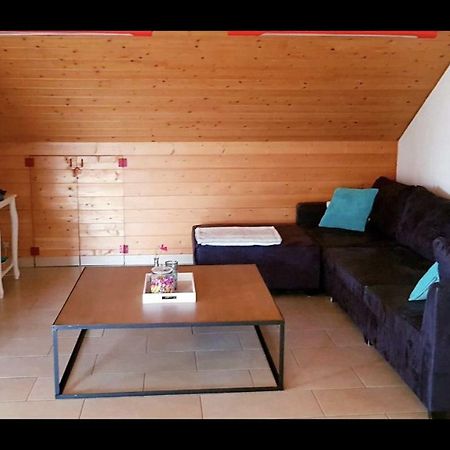 دام Groot Appartement Nabij Brugge Met Eigen Badkamer! المظهر الخارجي الصورة