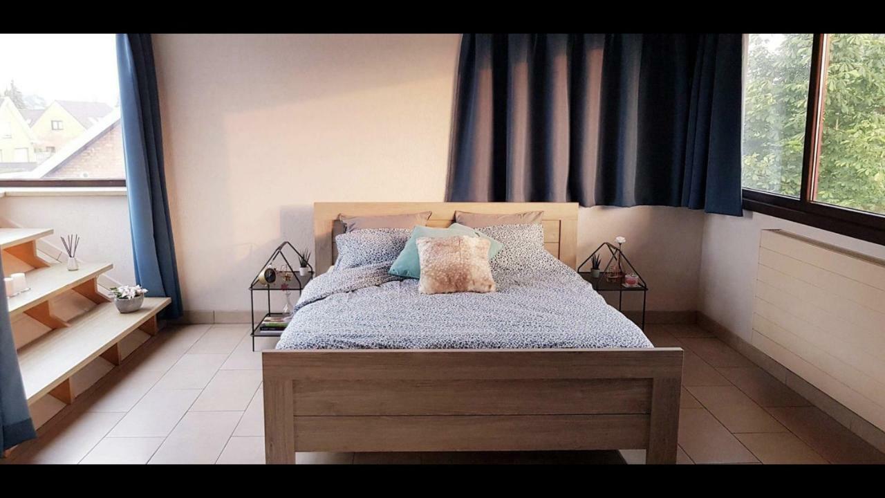 دام Groot Appartement Nabij Brugge Met Eigen Badkamer! المظهر الخارجي الصورة